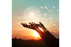 Hands holding a glowing digital globe network at sunset